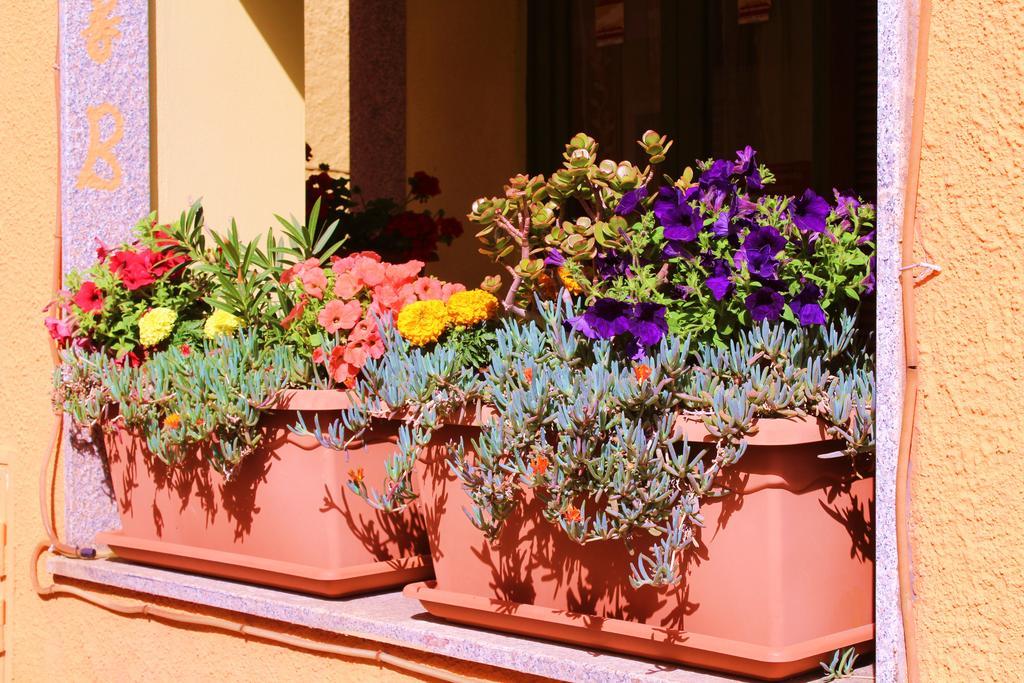 B&B La Pianedda Castelsardo Exterior photo